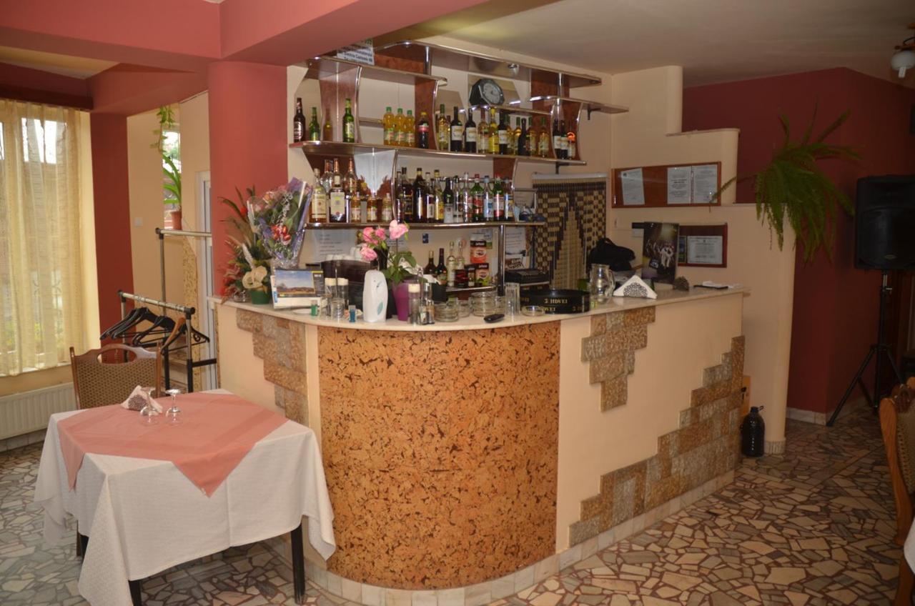 Pensiunea La Palaguta Μπάια Μάρε Εξωτερικό φωτογραφία