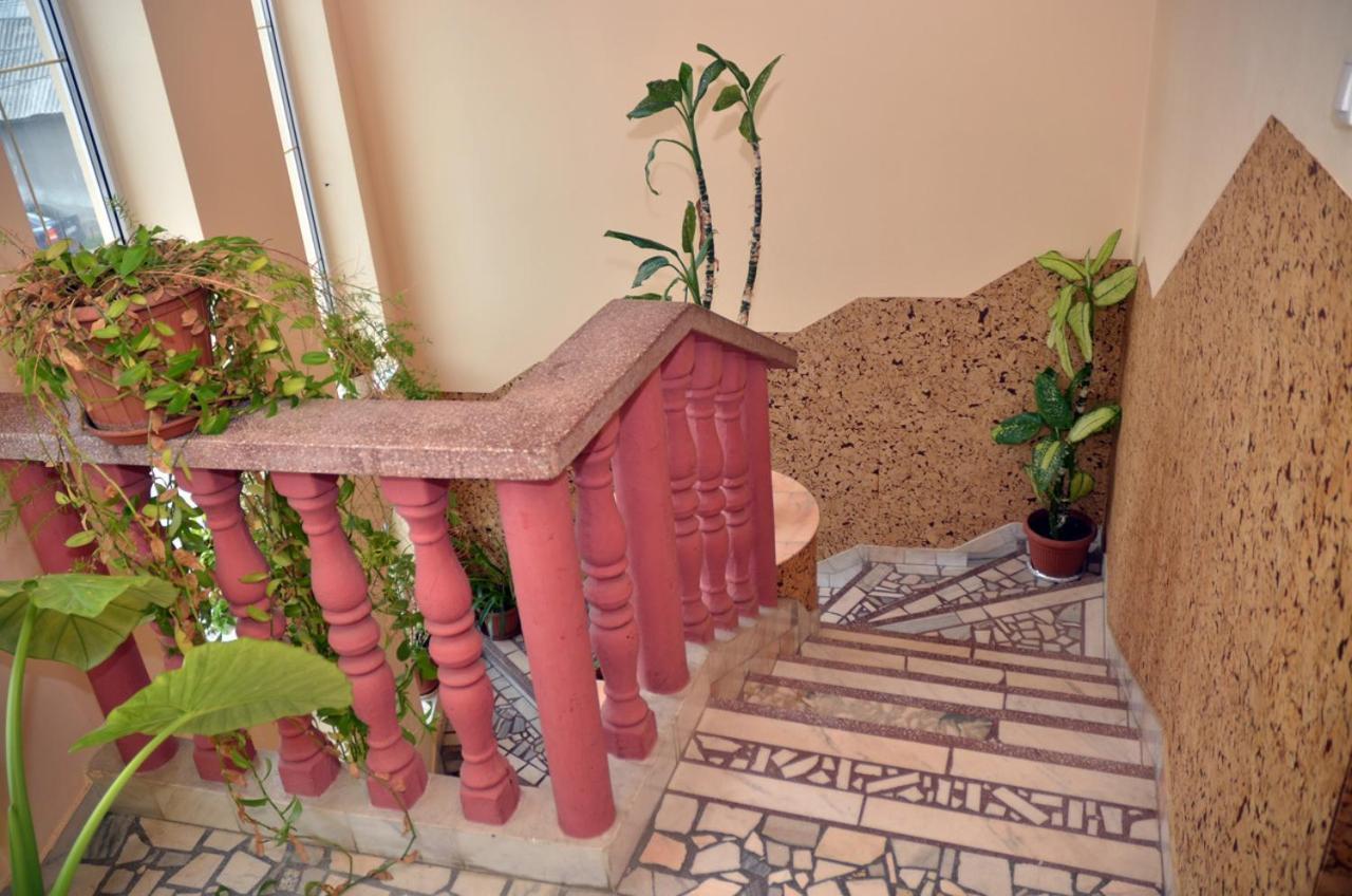 Pensiunea La Palaguta Μπάια Μάρε Εξωτερικό φωτογραφία